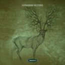 Chronogramm - Braun Tube (Original Mix)
