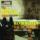 Salah Ananse ft. Princess La Tremenda - David Danced