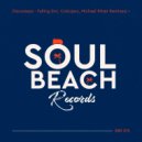 Discosteps - Falling (Michael Ritter Remix)