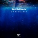 Kenji Sekiguchi - Underwater