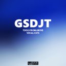 GSDJT - TFA Vocal Cut 09 (DJ Tool)