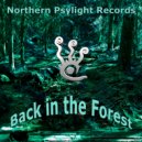 N3xu5 - Northern Psylight