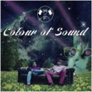 Waving Flags - Colour Of Sound (Original Mix)