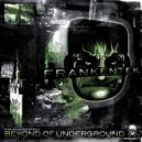 Frankentek - Take To My Crap