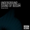Bohemic & Lukas - In The Line (Paulina Gallardo Remix)