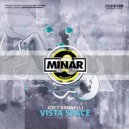Joe T Vannelli - Vista Space