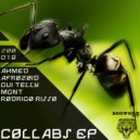Rodrigo Risso, Ahmed - You Do Not Respond (Original Mix)