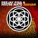 Deejay Pisa & House Mate - Jaguar (Paddy Duke Remix)