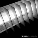 Tripsin - Molecule (Original Mix)