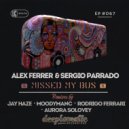 Alex Ferrer & Sergio Parrado - Missed My Bus (Aurora Solovey Remix)