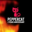 Intro - Pepper Cat