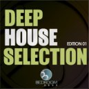 Dvit Bousa - DNC