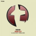 R3dub - Year 3