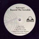Hydrangea - Beyond The Invisible (Elle Remix)