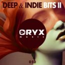 Danny Darko ft Ryan Koriya - When Hope Is Lost (Dish Remix)