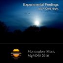 Experimental Feelings - It\'s A Cold Night (Abraham A Remix)