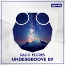 Paco Flores - Take Control (Original Mix)