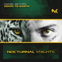Daniel Skyver - Down To Earth