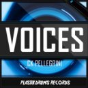 Ck Pellegrini - Voices