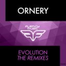 Ornery - Evolution (Paul Alexander \'Cobalt\' Remix)