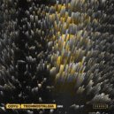 Coyu - Garnier At (any) Sonar