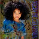 Dred Salu - Negra De Carapinha (Original Mix)