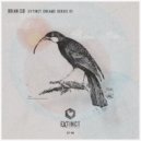 Brian Cid - Rotations (Original Mix)