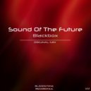Sound Of The Future - Blackbox (Original Mix)