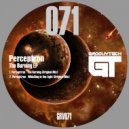 Perceptron - Whistling In The Light (Original Mix)