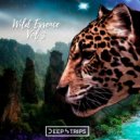 Luna Del Ciervo - You Are Everything (Original Mix)