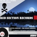 Digital Knecht - The Night