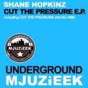 Shane Hopkinz - Bu Vibe (Original Mix)