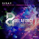Cj S.a.y. - Unknown Dancer