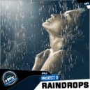 Project D - Raindrops (Original Mix)
