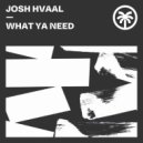 Josh Hvaal - Come Again