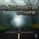 Waldmeister & Chipe - Run For You (Original Mix)