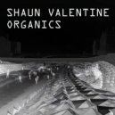 Shaun Valentine - Trespass