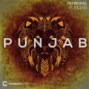 Peter Wol - Punjab (Original Mix)