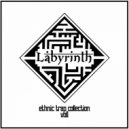 Biz - Labyrinth