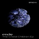 Ende - Broader Range of Reality (Dj Tools)