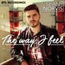 Sean Norvis & Madelin Zero - The Way I Feel (Album Version)