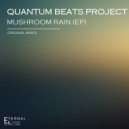 Quantum Beats Project - Soap Bubbles (Original Mix)