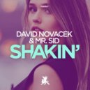 David Novacek, Mr. Sid - Shakin'
