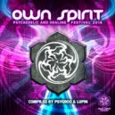 Owntrip - Lost Brain