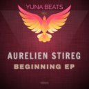 Aurelien Stireg - So Great