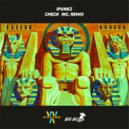 iPunkZ - Check
