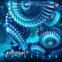 Audiodact - Adjusting (Original Mix)