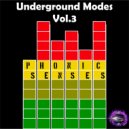 Phonic Senses - Intensive Cares