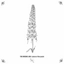 The Missing Link feat. Diogo Martins - Warm Storm
