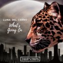 Luna Del Ciervo - What\'s Going On (Original Mix)